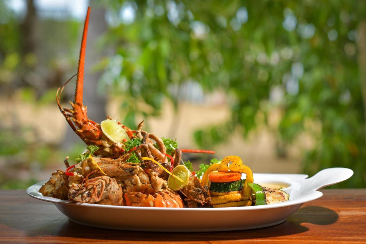 Kitesurfing Lanka Hotel Kalpitiya Kültér fotó